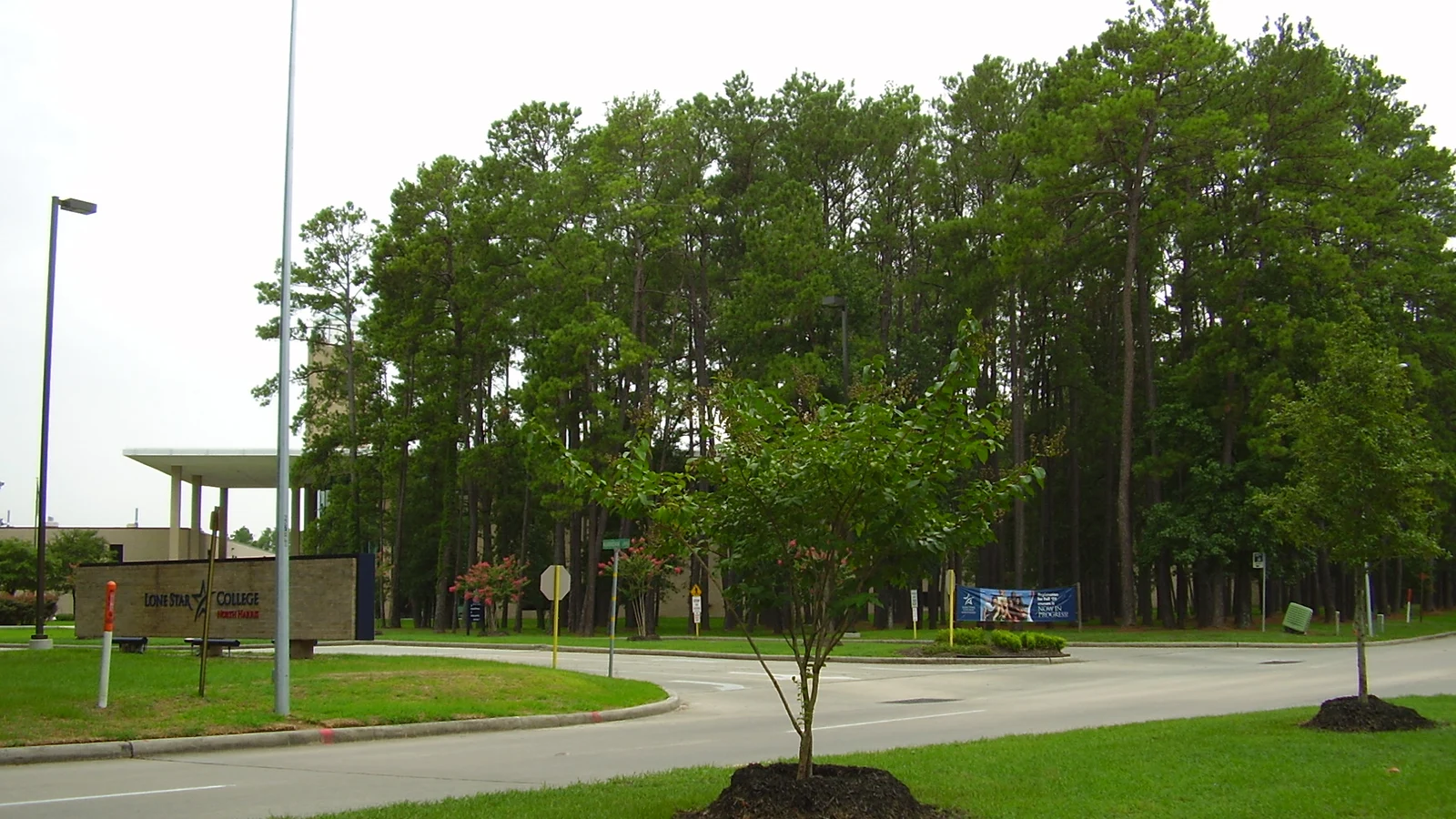 Tree Trimmer Shocked Near Power Lines, Rescued in Montgomery County